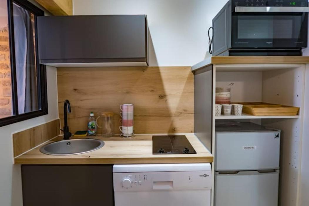 Appartement Sur Les Toits 2 Pièces Cocooning Grenoble